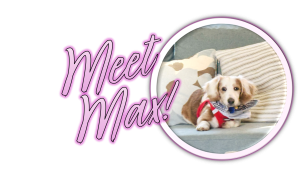 max2